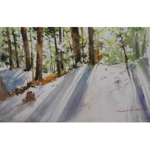 Water Color Painting on Paper 51cm X 34 cm VAWA128